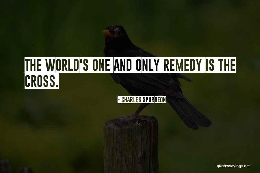 Salpicao Chicken Quotes By Charles Spurgeon Salpicao Chicken Quotes By Charles Spurgeon
