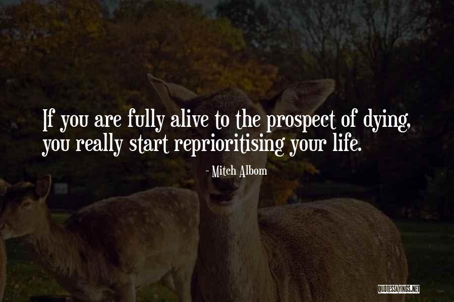 Salsabil Cars Quotes By Mitch Albom Salsabil Cars Quotes By Mitch Albom
