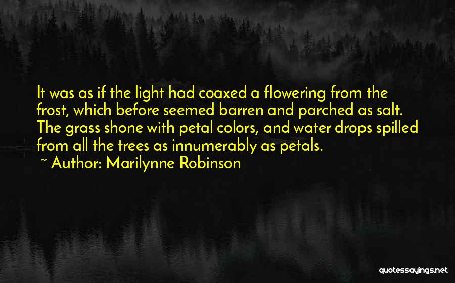 Salt And Light Quotes By Marilynne Robinson