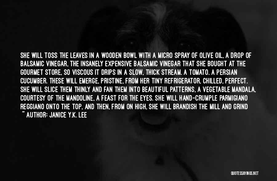 Salt And Vinegar Quotes By Janice Y.K. Lee