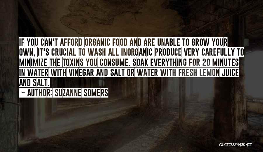 Salt And Vinegar Quotes By Suzanne Somers