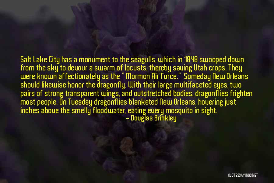 Salt Lake City Quotes By Douglas Brinkley Salt Lake City Quotes By Douglas Brinkley