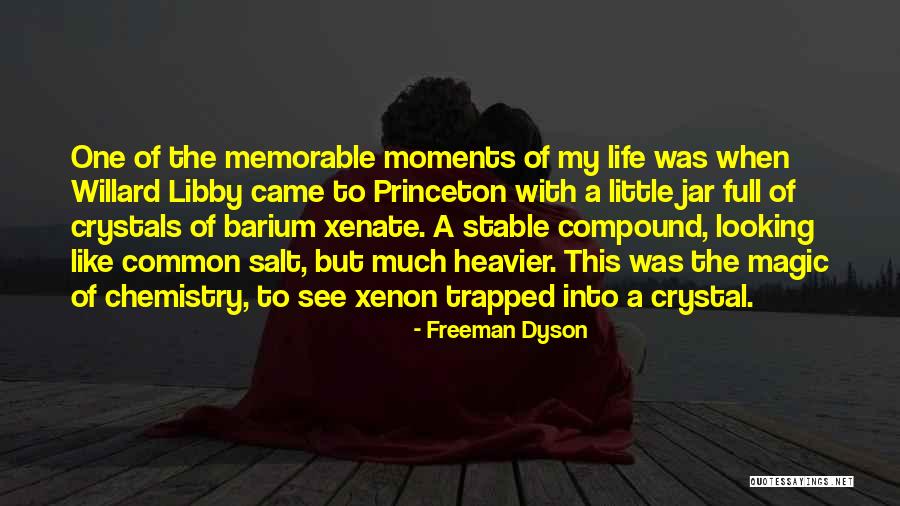Salt Life Quotes By Freeman Dyson Salt Life Quotes By Freeman Dyson