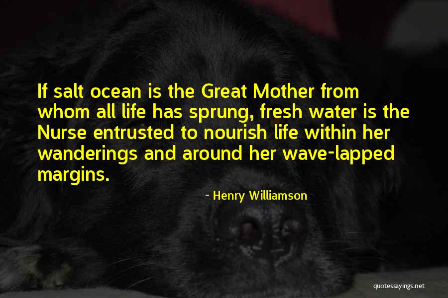 Salt Life Quotes By Henry Williamson Salt Life Quotes By Henry Williamson