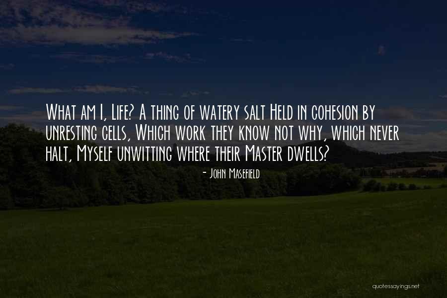 Salt Life Quotes By John Masefield Salt Life Quotes By John Masefield