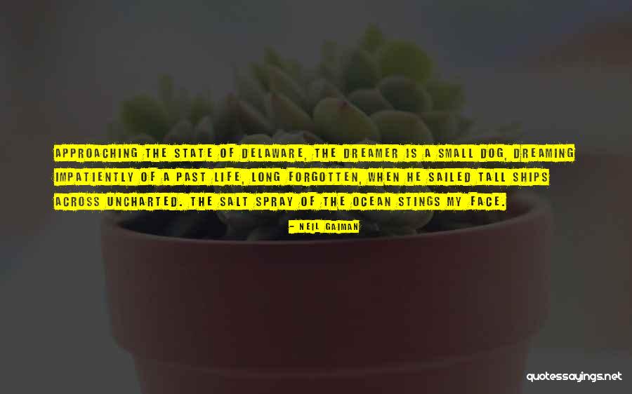 Salt Life Quotes By Neil Gaiman Salt Life Quotes By Neil Gaiman