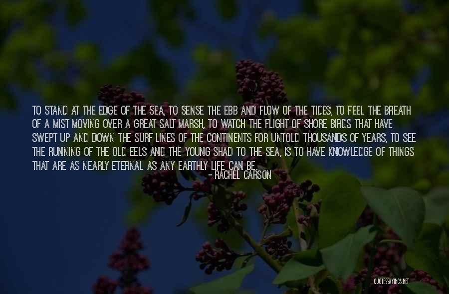 Salt Life Quotes By Rachel Carson Salt Life Quotes By Rachel Carson