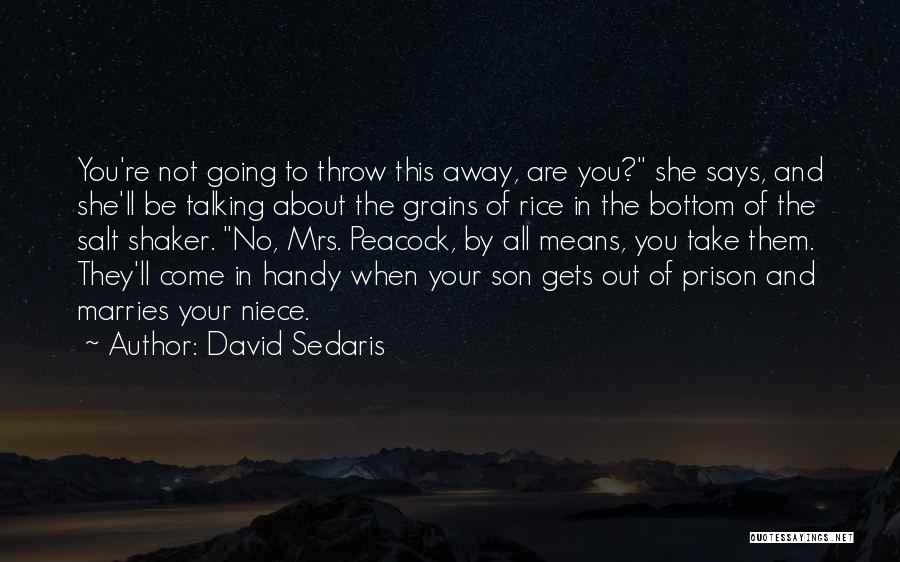 Salt Shaker Quotes By David Sedaris