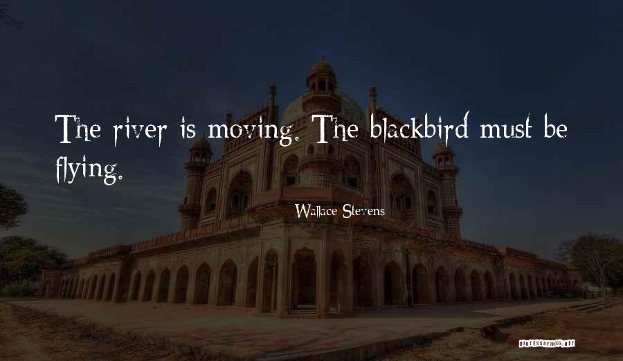 Saltanat Usmania Quotes By Wallace Stevens Saltanat Usmania Quotes By Wallace Stevens