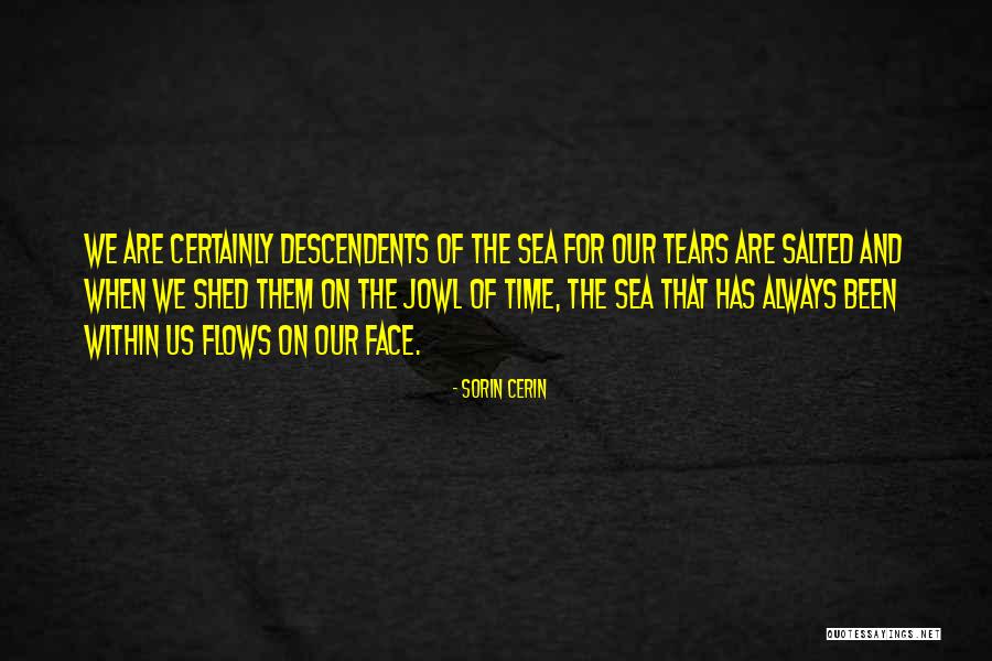 Salted Quotes By Sorin Cerin Salted Quotes By Sorin Cerin