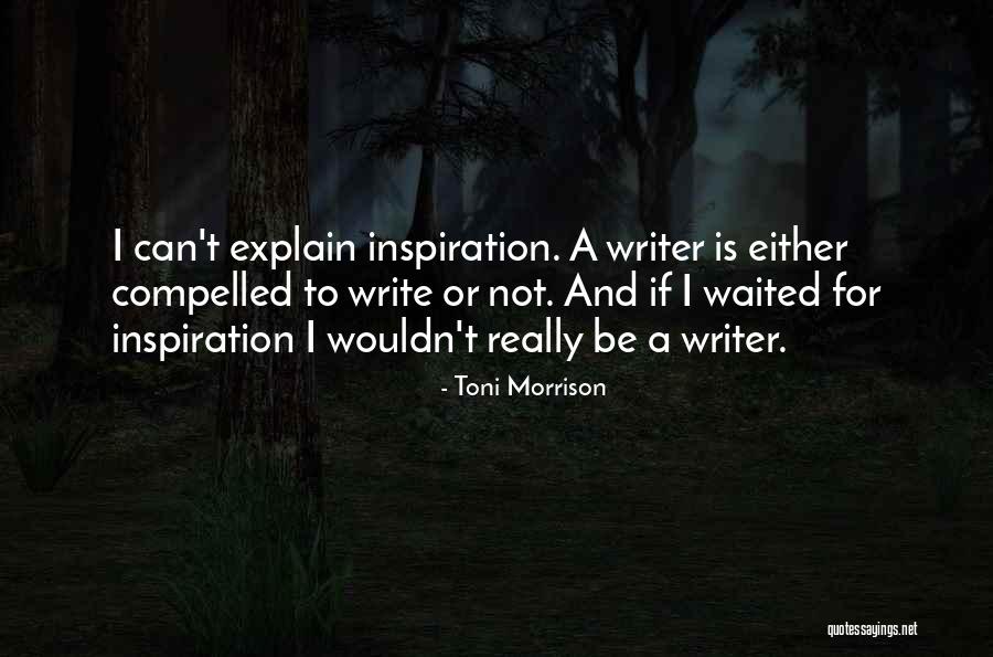 Saltuarius Quotes By Toni Morrison Saltuarius Quotes By Toni Morrison