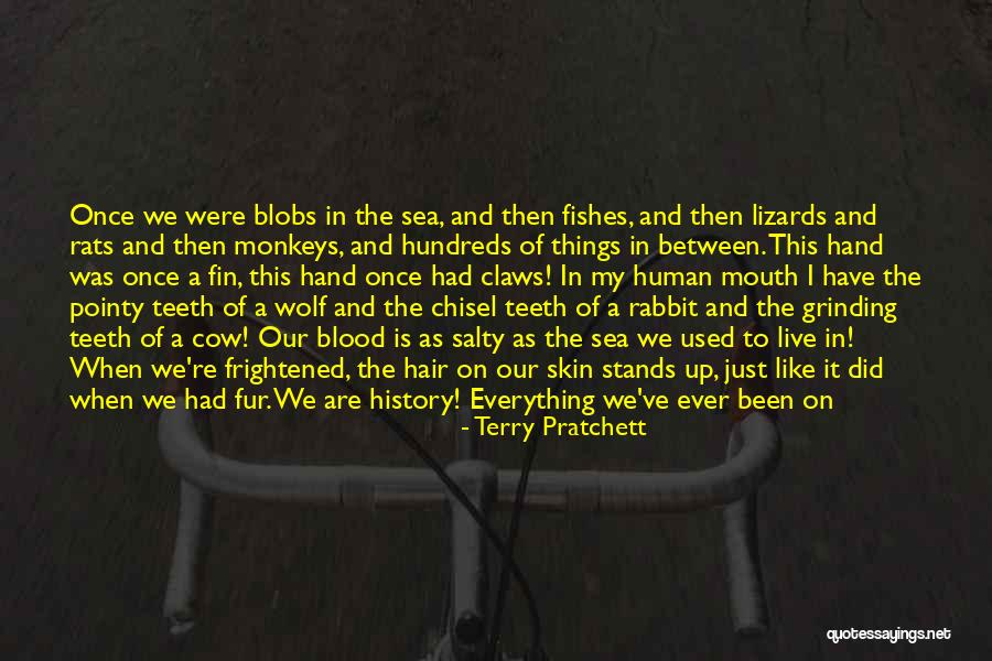 Salty Hair Quotes By Terry Pratchett Salty Hair Quotes By Terry Pratchett