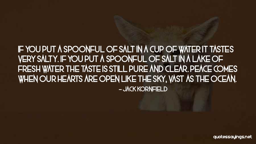 Salty Quotes By Jack Kornfield