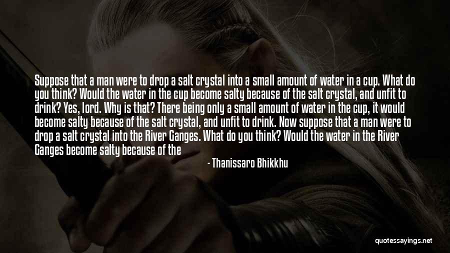 Salty Quotes By Thanissaro Bhikkhu