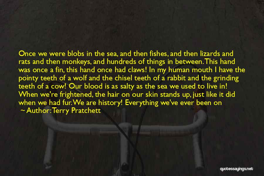 Salty Skin Quotes By Terry Pratchett