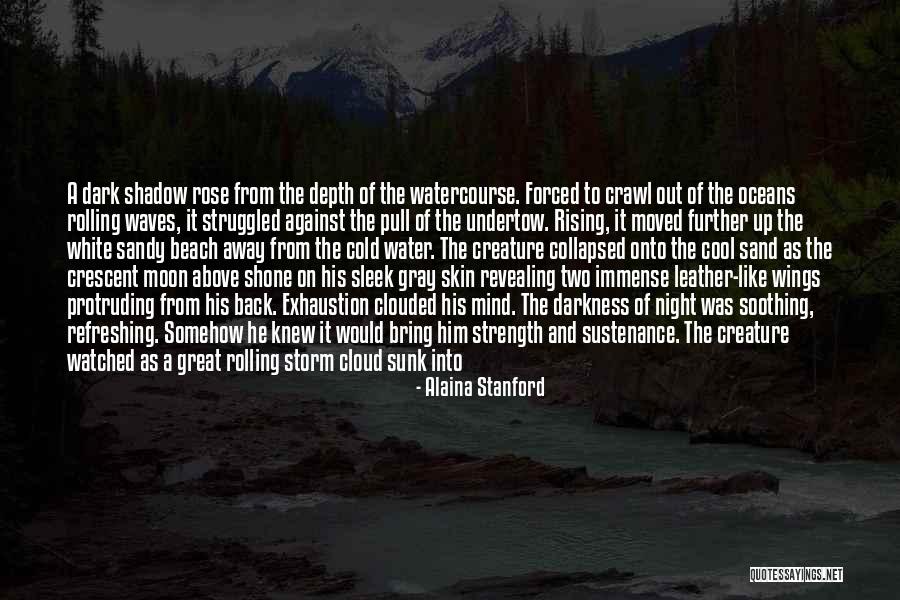 Salty Water Quotes By Alaina Stanford Salty Water Quotes By Alaina Stanford