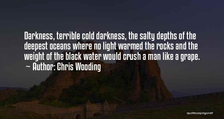 Salty Water Quotes By Chris Wooding