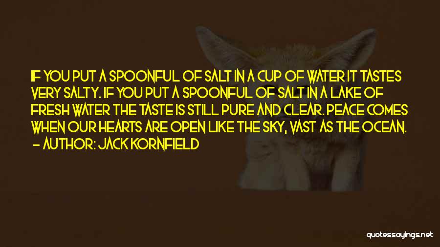 Salty Water Quotes By Jack Kornfield