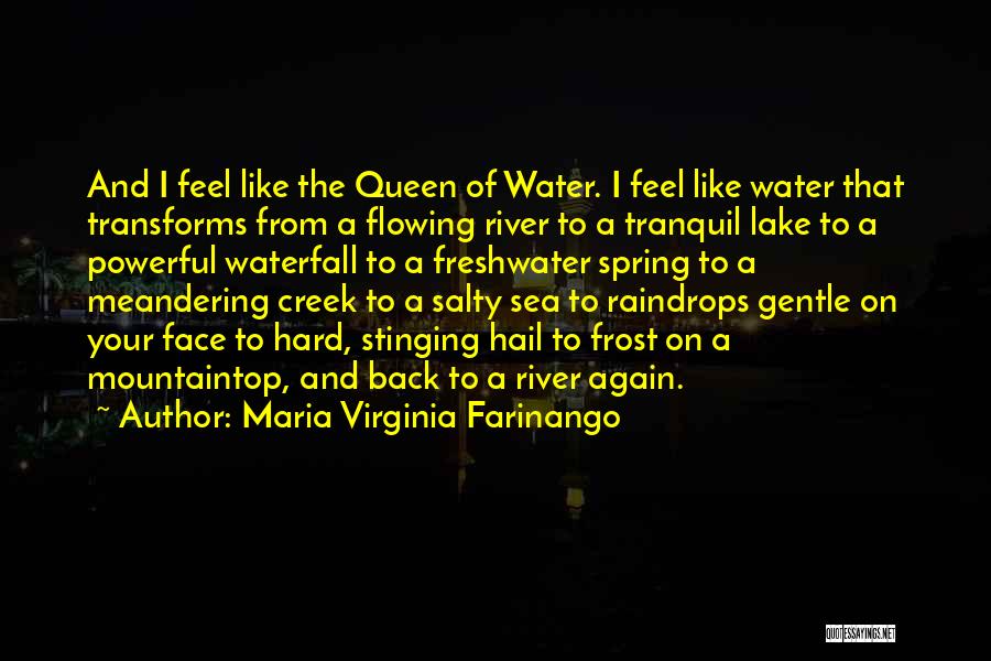 Salty Water Quotes By Maria Virginia Farinango