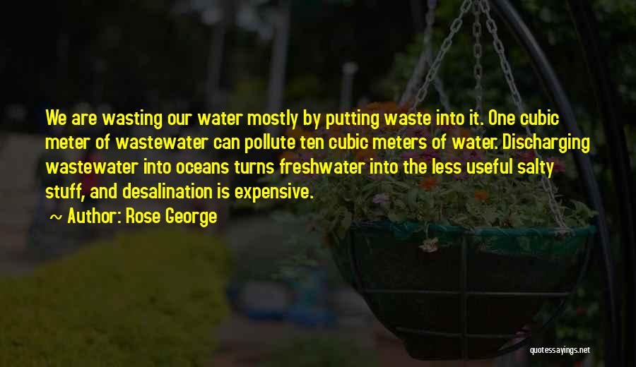 Salty Water Quotes By Rose George