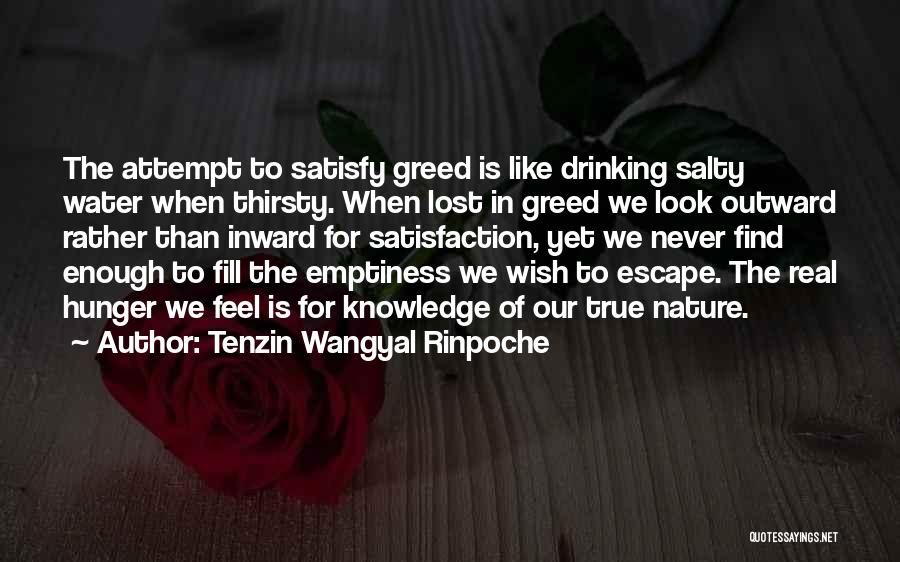 Salty Water Quotes By Tenzin Wangyal Rinpoche