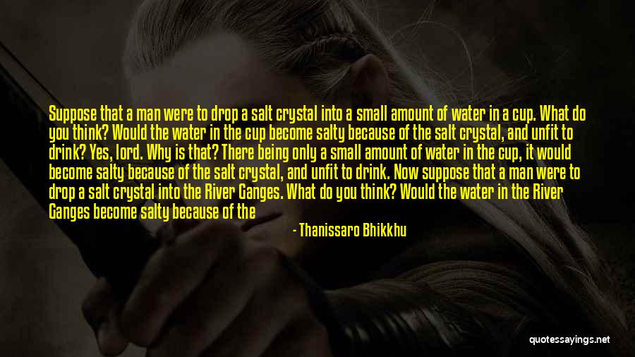 Salty Water Quotes By Thanissaro Bhikkhu