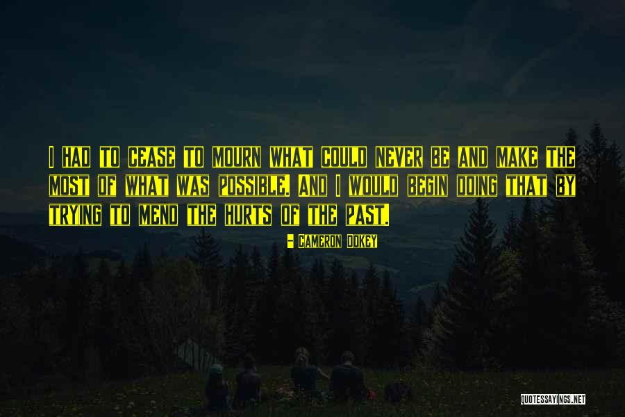 Salubrem Quotes By Cameron Dokey Salubrem Quotes By Cameron Dokey