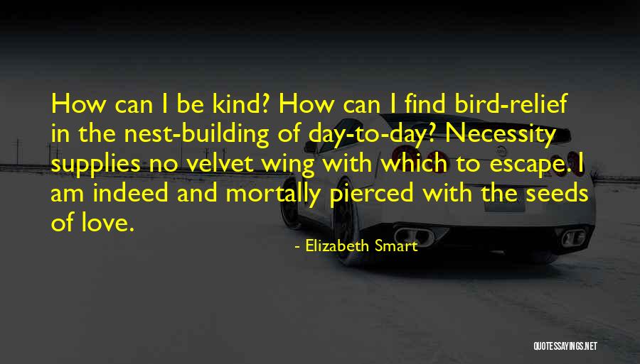 Salutes Fireworks Quotes By Elizabeth Smart Salutes Fireworks Quotes By Elizabeth Smart
