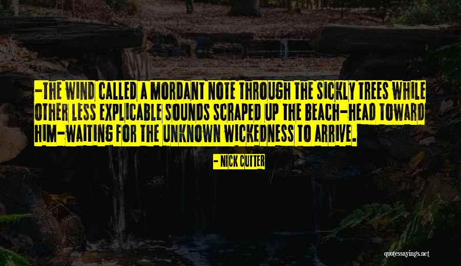 Saluting Indian Army Quotes By Nick Cutter Saluting Indian Army Quotes By Nick Cutter