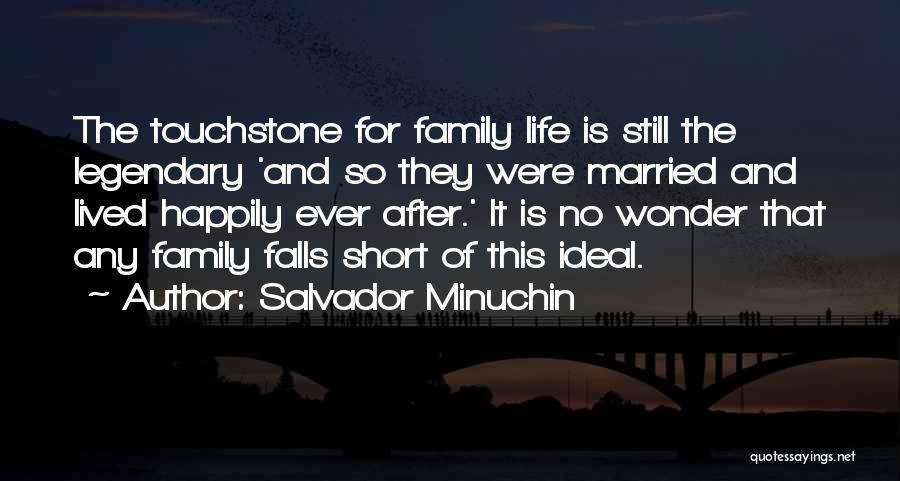 Salvador Minuchin Quotes 1097009