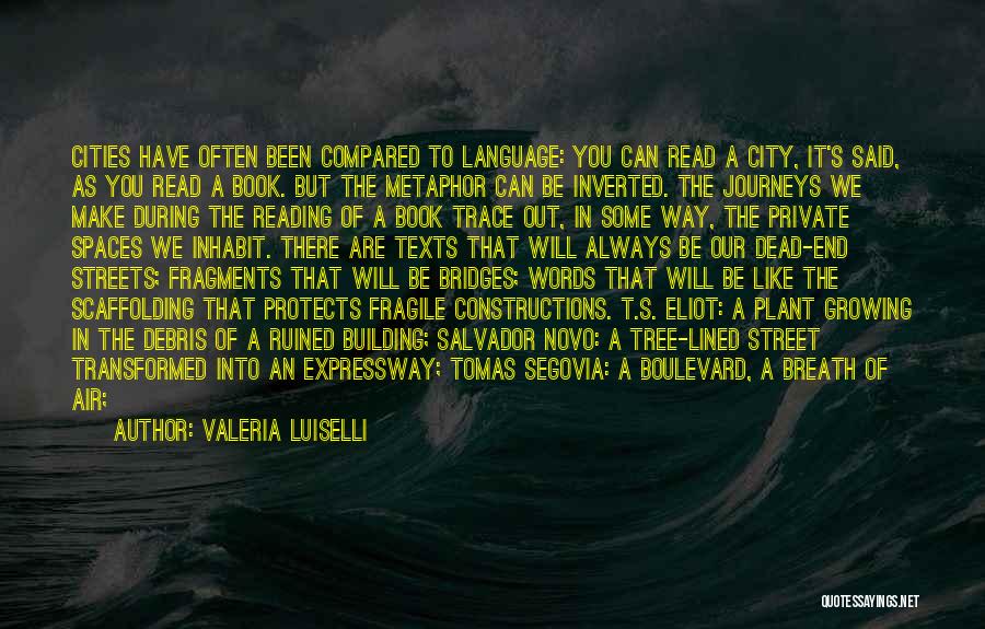 Salvador Novo Quotes By Valeria Luiselli