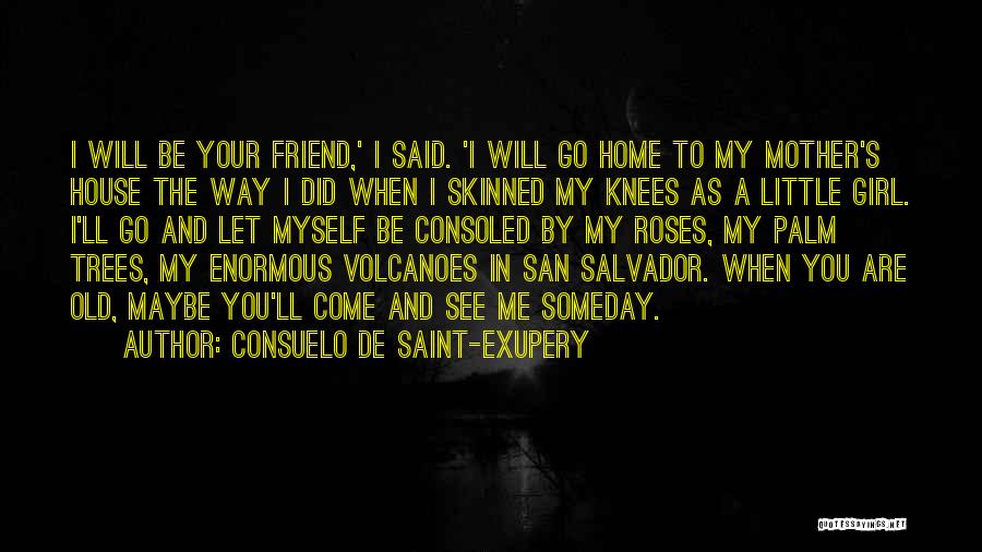 Salvador Quotes By Consuelo De Saint-Exupery