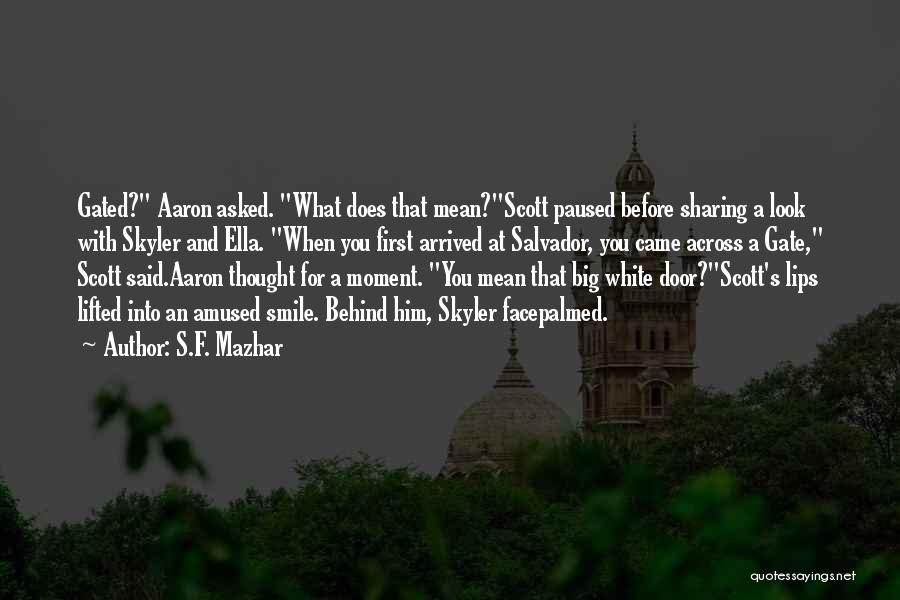 Salvador Quotes By S.F. Mazhar