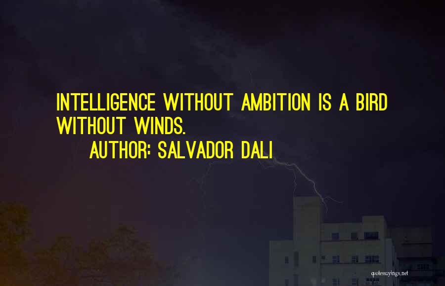 Salvador Quotes By Salvador Dali