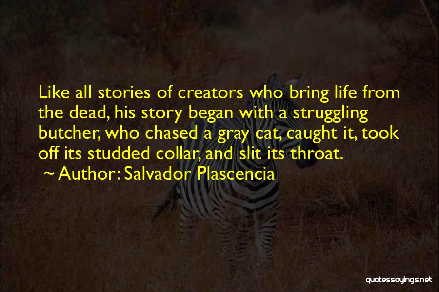 Salvador Quotes By Salvador Plascencia