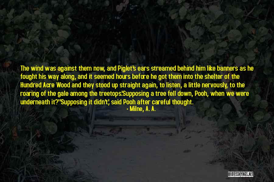 Salvadore Quotes By Milne, A. A. Salvadore Quotes By Milne, A. A.