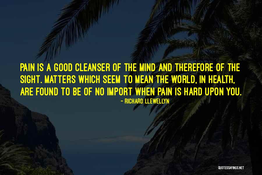 Salvage Funny Quotes By Richard Llewellyn Salvage Funny Quotes By Richard Llewellyn