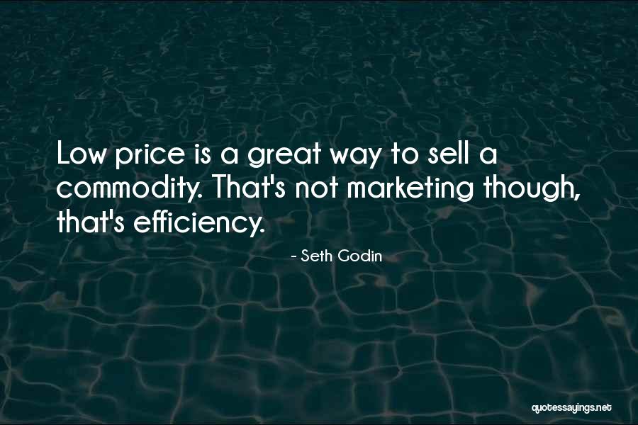 Salvagings Quotes By Seth Godin Salvagings Quotes By Seth Godin