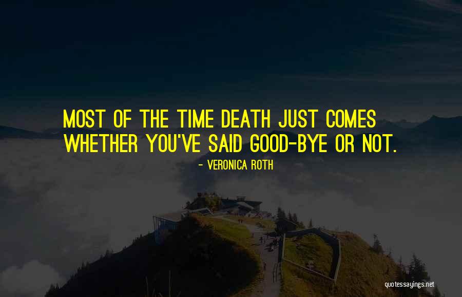 Salvamento De Animais Quotes By Veronica Roth Salvamento De Animais Quotes By Veronica Roth