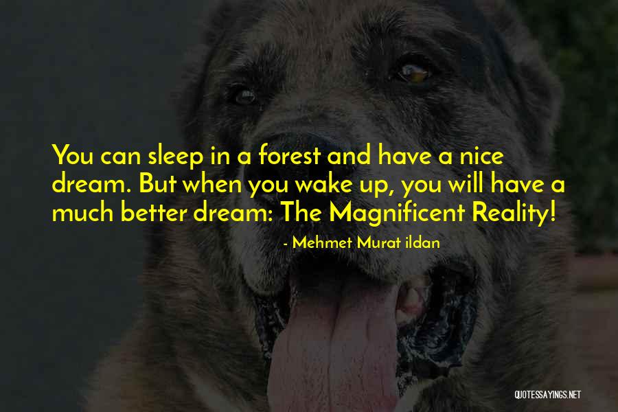 Salvarse Quotes By Mehmet Murat Ildan Salvarse Quotes By Mehmet Murat Ildan