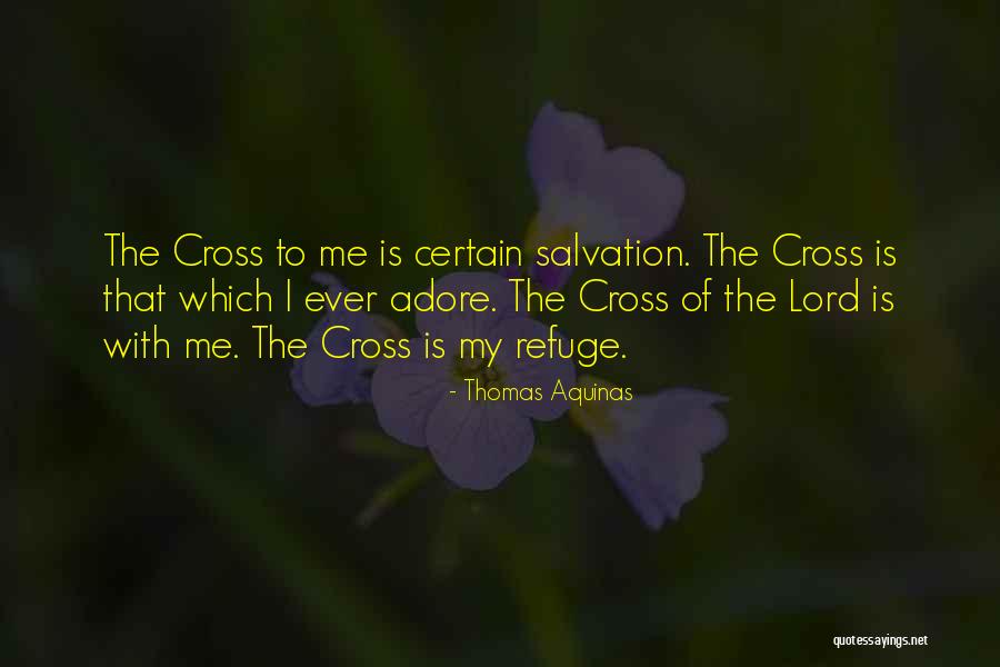 Salvation Quotes By Thomas Aquinas