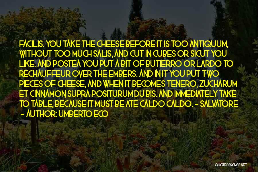 Salvatore Quotes By Umberto Eco