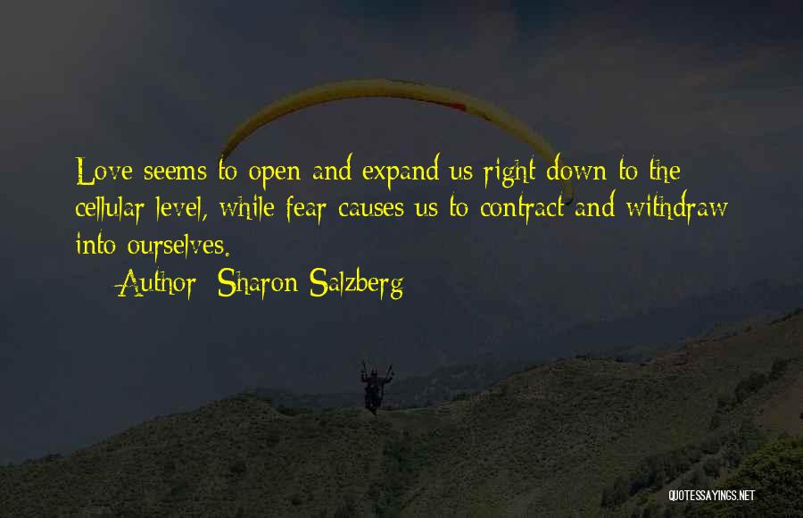 Salzberg Quotes By Sharon Salzberg