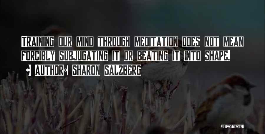 Salzberg Quotes By Sharon Salzberg