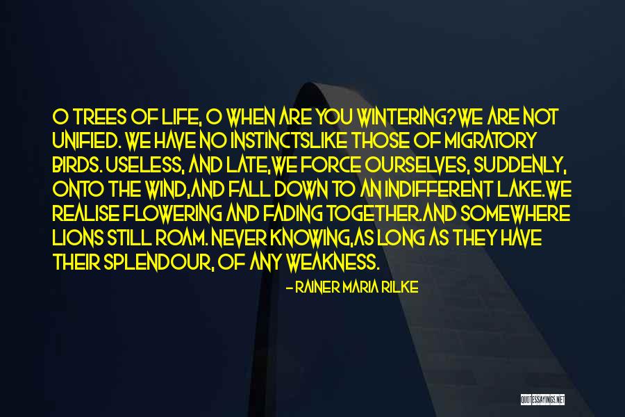 Salzburg By Maria Von Trapp Book Quotes By Rainer Maria Rilke Salzburg By Maria Von Trapp Book Quotes By Rainer Maria Rilke