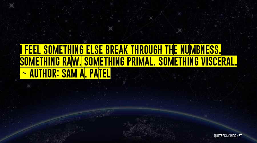 Sam A. Patel Quotes 1508901