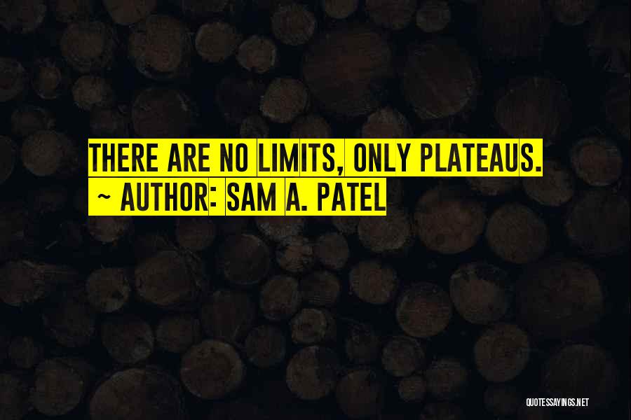 Sam A. Patel Quotes 225983