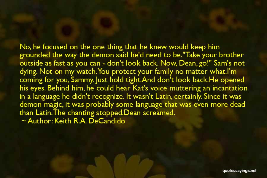 Sam And Dean Family Quotes By Keith R.A. DeCandido