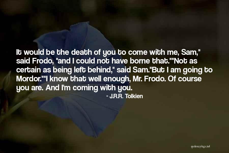 Sam And Frodo Quotes By J.R.R. Tolkien