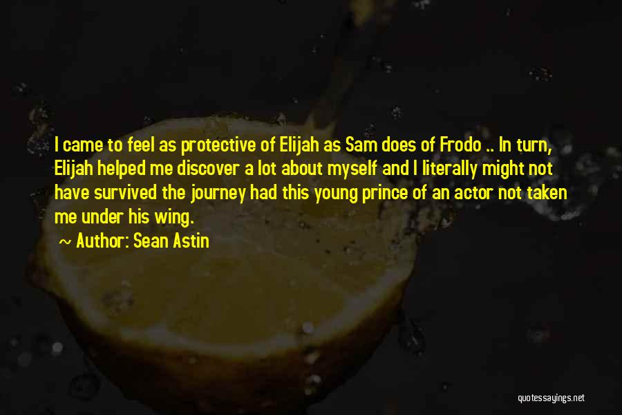 Sam And Frodo Quotes By Sean Astin